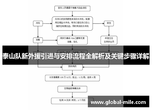 泰山队新外援引进与安排流程全解析及关键步骤详解