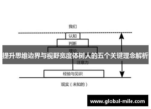 提升思维边界与视野宽度体树人的五个关键理念解析