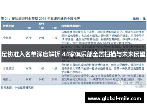 足协准入名单深度解析 44家俱乐部全景扫描与未来展望