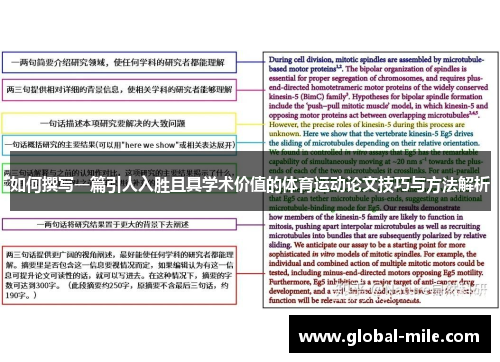 如何撰写一篇引人入胜且具学术价值的体育运动论文技巧与方法解析