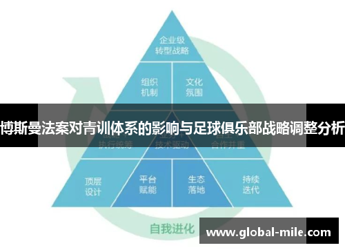 博斯曼法案对青训体系的影响与足球俱乐部战略调整分析