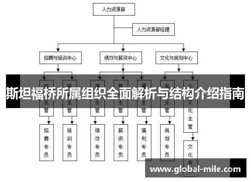 斯坦福桥所属组织全面解析与结构介绍指南