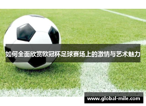 如何全面欣赏欧冠杯足球赛场上的激情与艺术魅力
